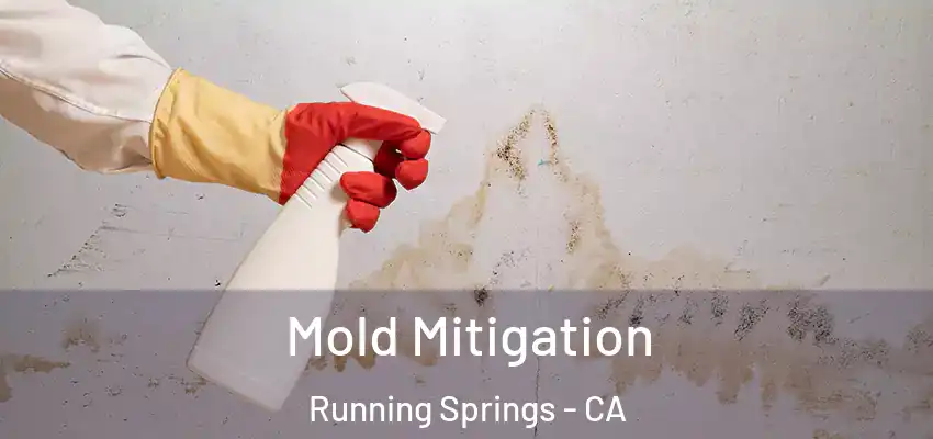  Mold Mitigation Running Springs - CA