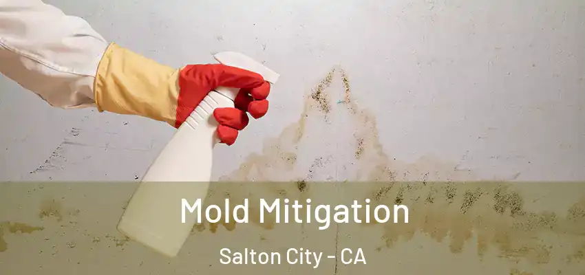  Mold Mitigation Salton City - CA