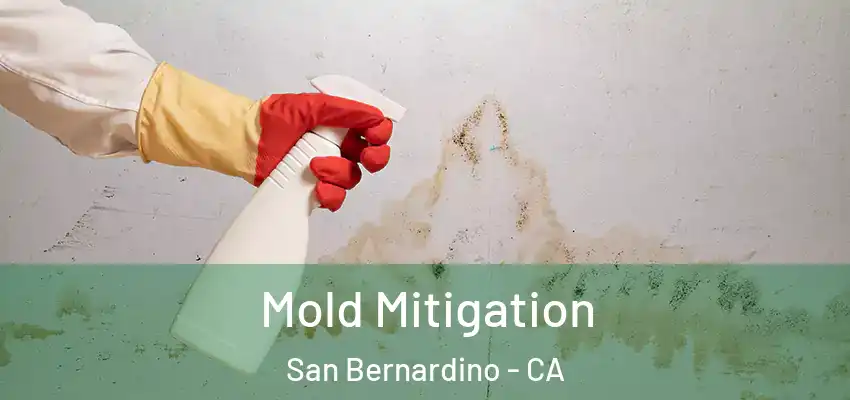  Mold Mitigation San Bernardino - CA