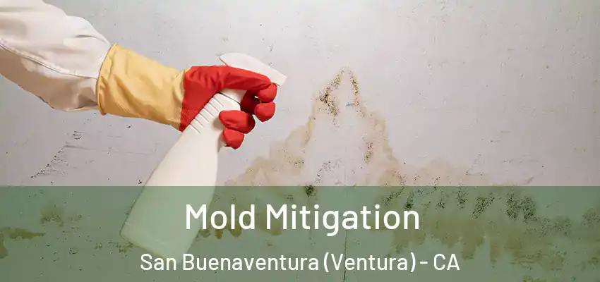  Mold Mitigation San Buenaventura (Ventura) - CA