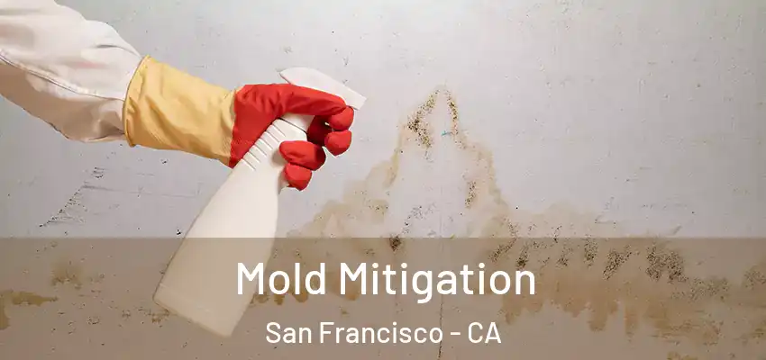  Mold Mitigation San Francisco - CA