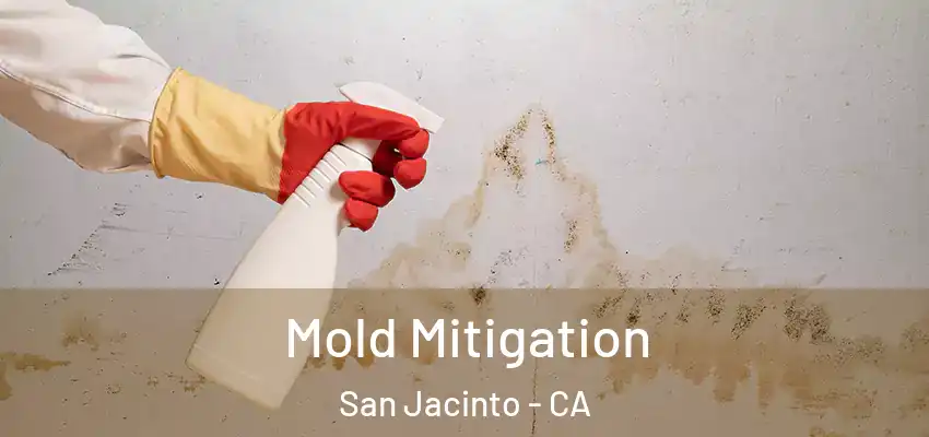  Mold Mitigation San Jacinto - CA