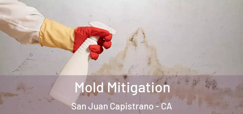  Mold Mitigation San Juan Capistrano - CA