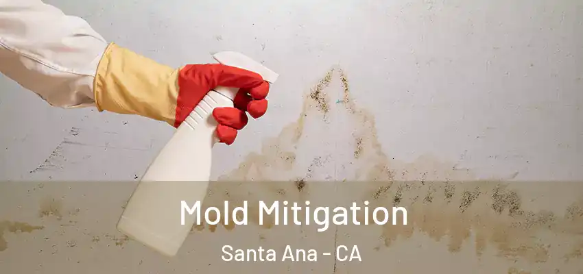  Mold Mitigation Santa Ana - CA