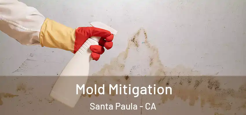  Mold Mitigation Santa Paula - CA