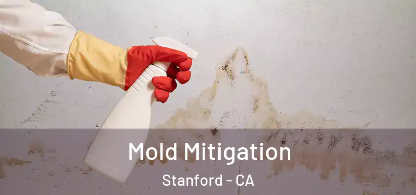 Mold Mitigation Stanford - CA