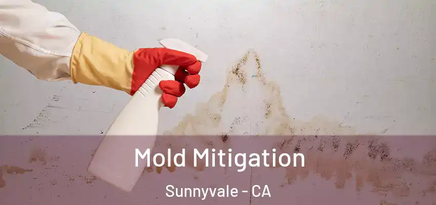  Mold Mitigation Sunnyvale - CA