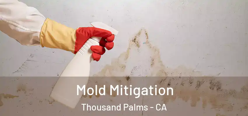  Mold Mitigation Thousand Palms - CA