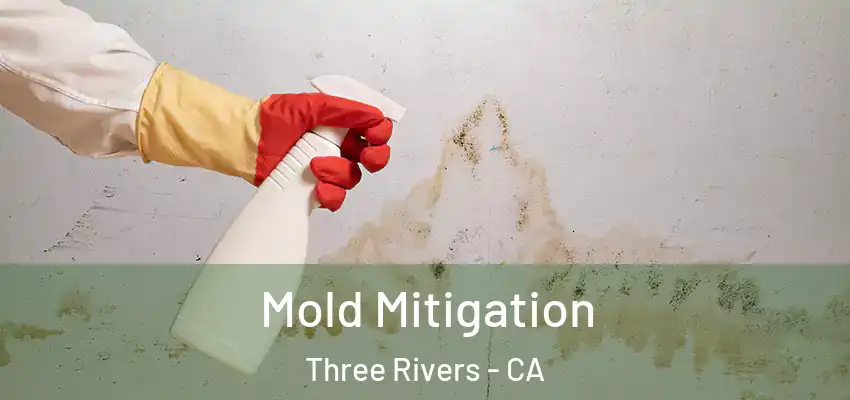  Mold Mitigation Three Rivers - CA
