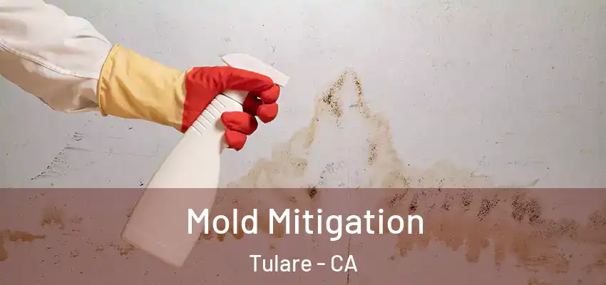  Mold Mitigation Tulare - CA