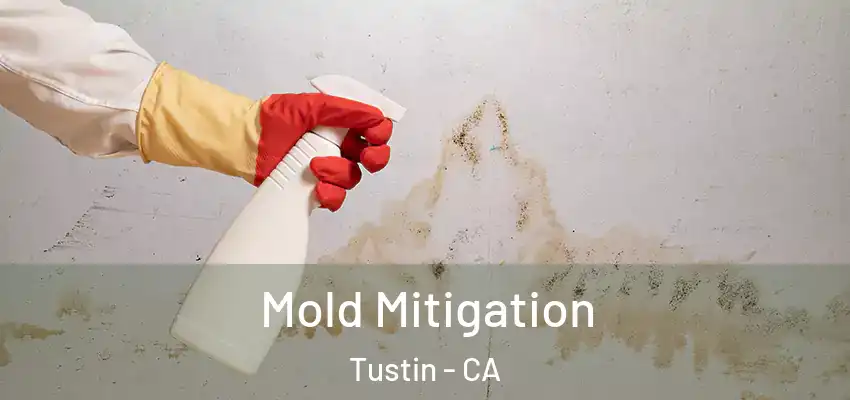  Mold Mitigation Tustin - CA