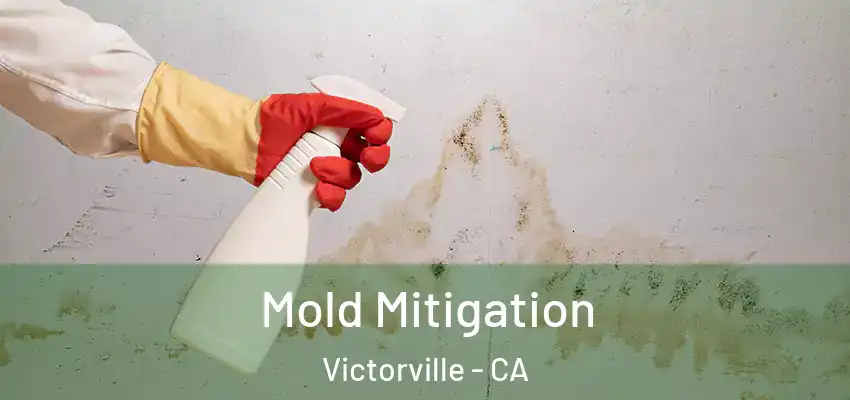  Mold Mitigation Victorville - CA
