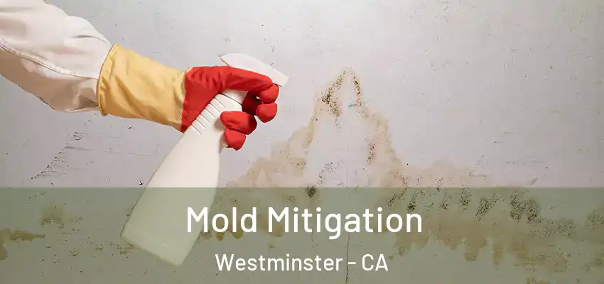  Mold Mitigation Westminster - CA