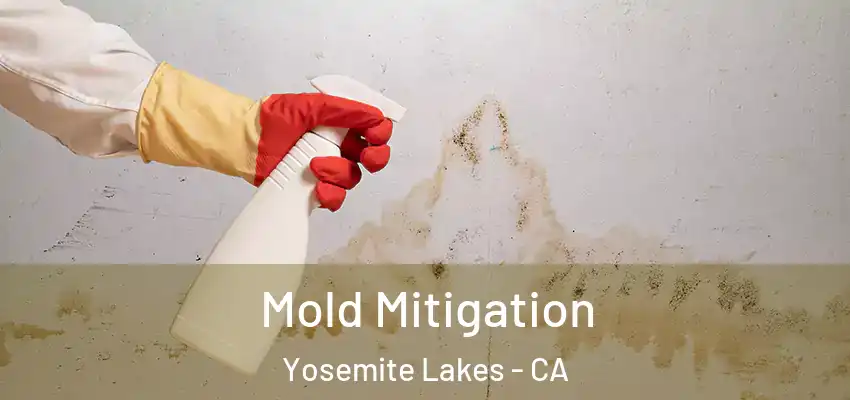  Mold Mitigation Yosemite Lakes - CA