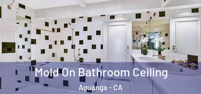  Mold On Bathroom Ceiling Aguanga - CA