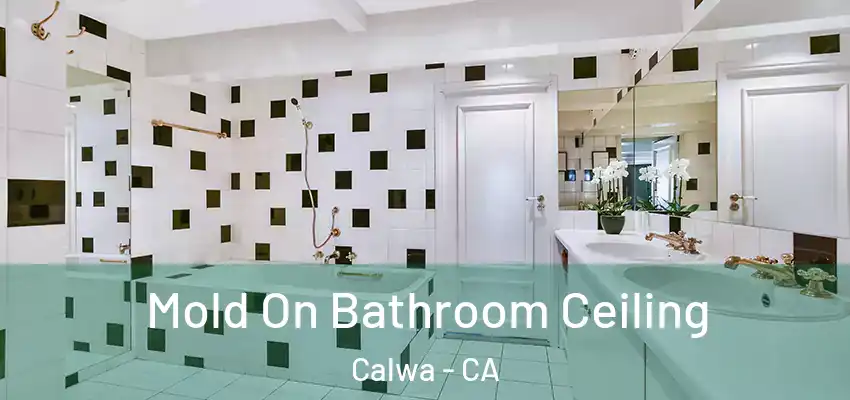  Mold On Bathroom Ceiling Calwa - CA