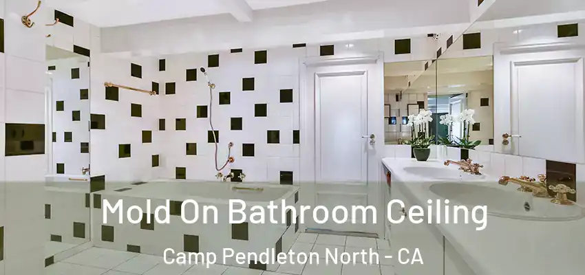  Mold On Bathroom Ceiling Camp Pendleton North - CA