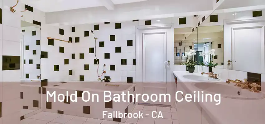  Mold On Bathroom Ceiling Fallbrook - CA