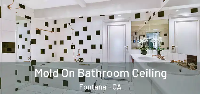  Mold On Bathroom Ceiling Fontana - CA
