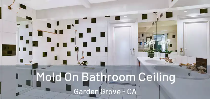 Mold On Bathroom Ceiling Garden Grove - CA