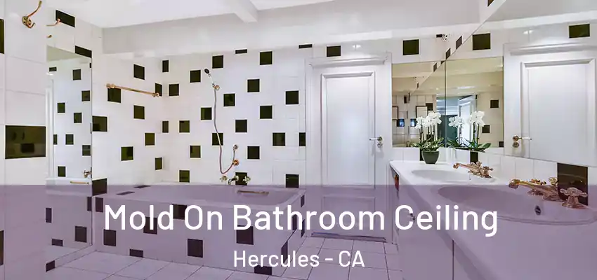  Mold On Bathroom Ceiling Hercules - CA