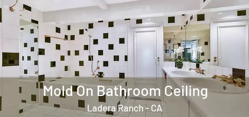  Mold On Bathroom Ceiling Ladera Ranch - CA