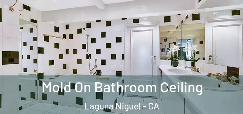  Mold On Bathroom Ceiling Laguna Niguel - CA