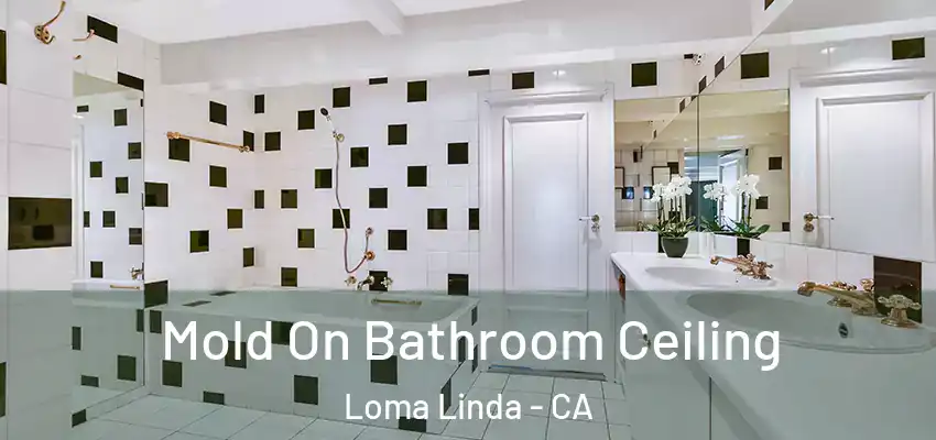  Mold On Bathroom Ceiling Loma Linda - CA
