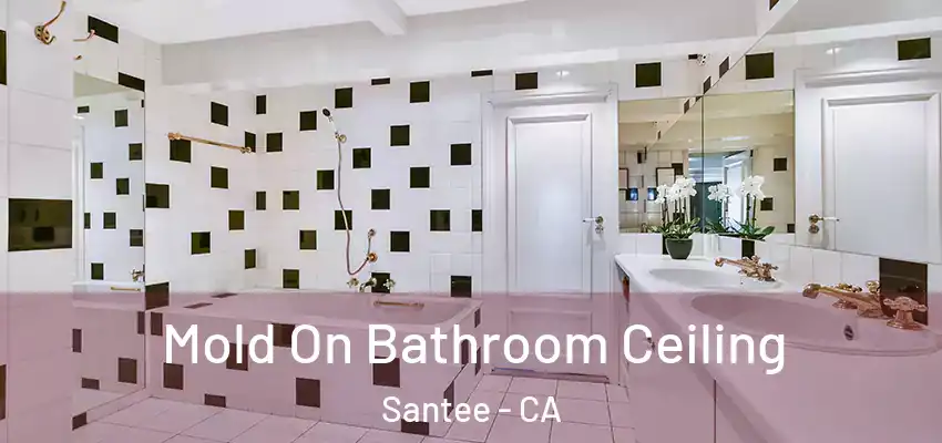  Mold On Bathroom Ceiling Santee - CA