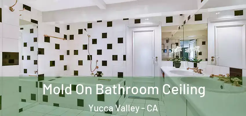  Mold On Bathroom Ceiling Yucca Valley - CA