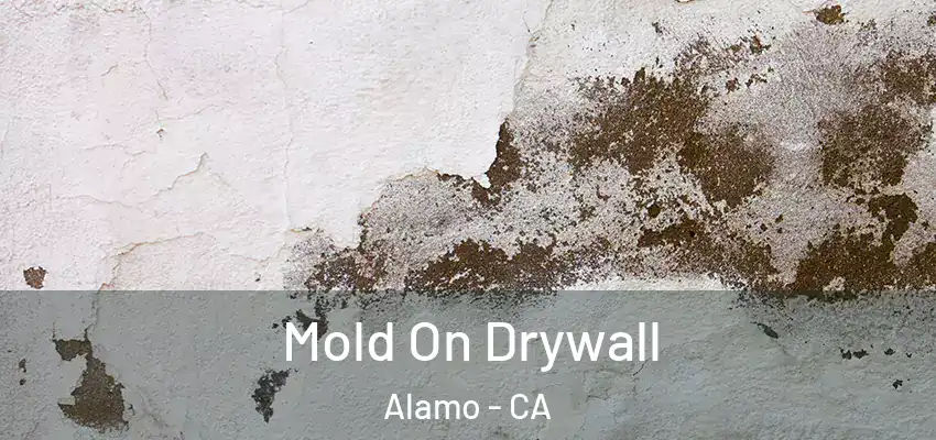  Mold On Drywall Alamo - CA
