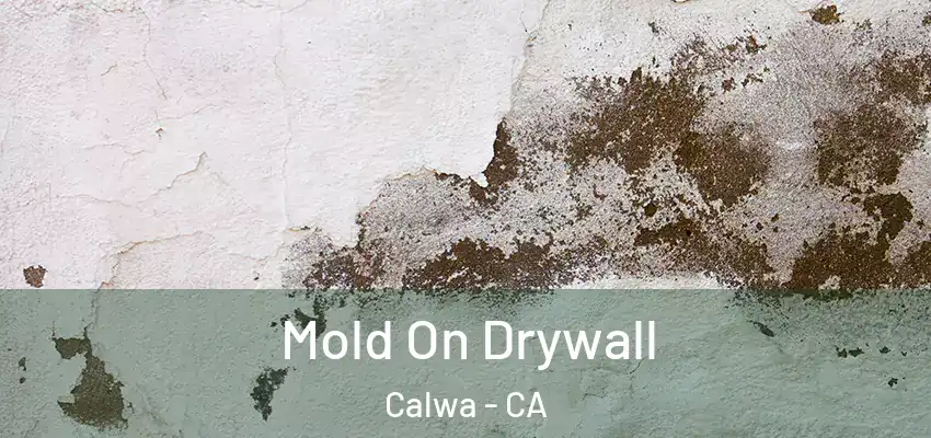  Mold On Drywall Calwa - CA