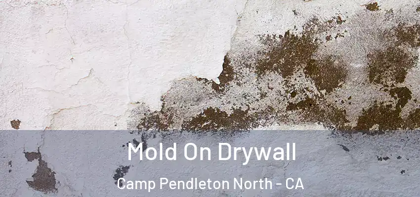  Mold On Drywall Camp Pendleton North - CA
