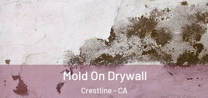  Mold On Drywall Crestline - CA