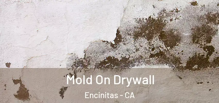  Mold On Drywall Encinitas - CA