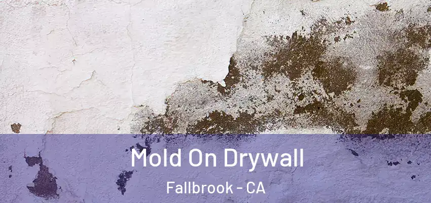  Mold On Drywall Fallbrook - CA