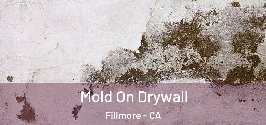  Mold On Drywall Fillmore - CA