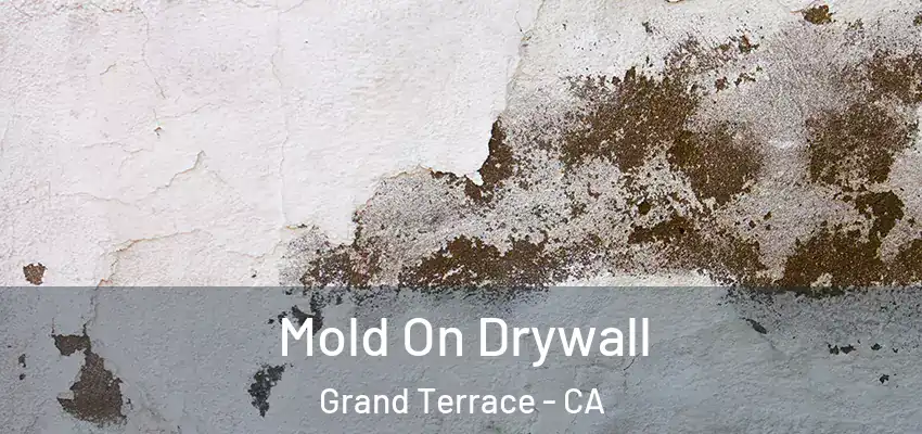  Mold On Drywall Grand Terrace - CA