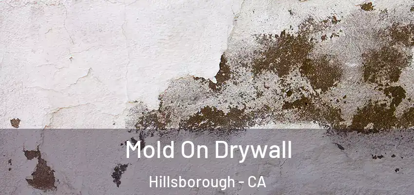  Mold On Drywall Hillsborough - CA