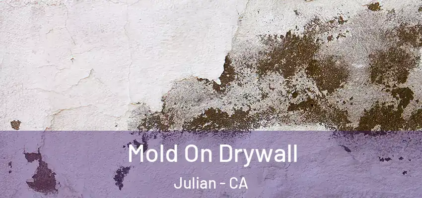  Mold On Drywall Julian - CA