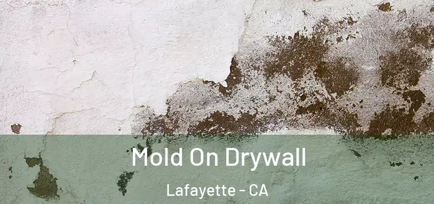  Mold On Drywall Lafayette - CA
