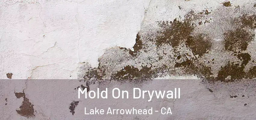  Mold On Drywall Lake Arrowhead - CA