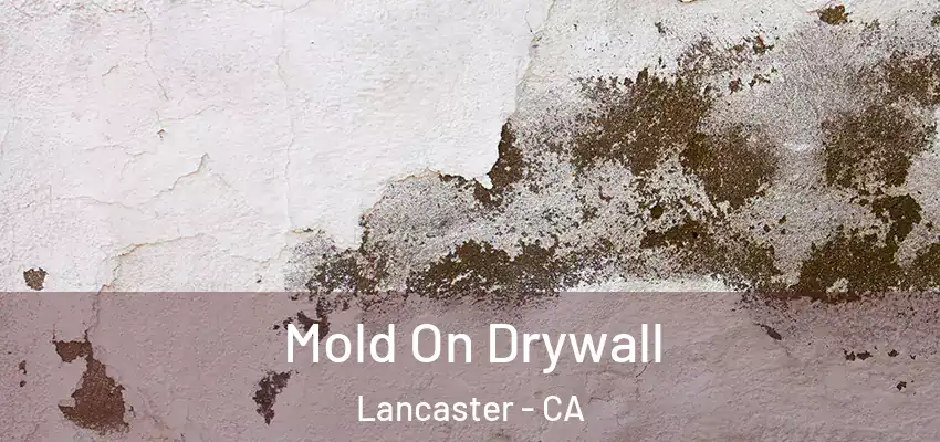  Mold On Drywall Lancaster - CA