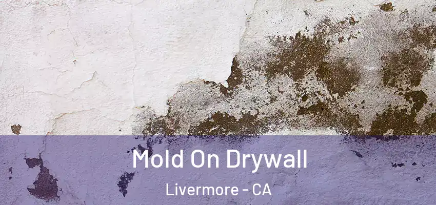 Mold On Drywall Livermore - CA