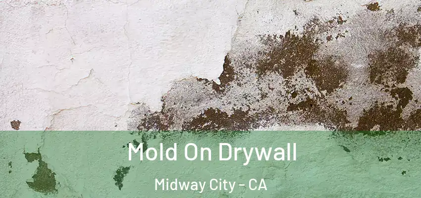  Mold On Drywall Midway City - CA