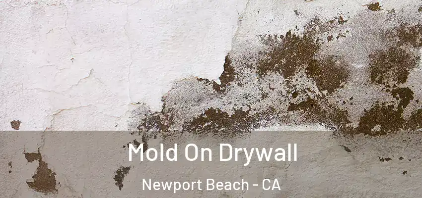  Mold On Drywall Newport Beach - CA