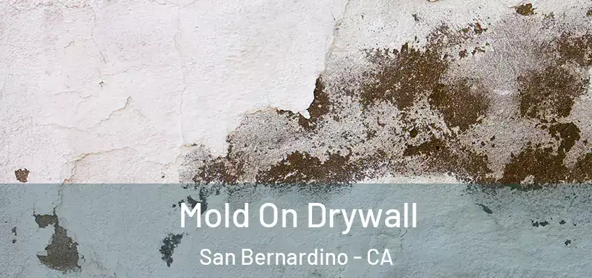  Mold On Drywall San Bernardino - CA