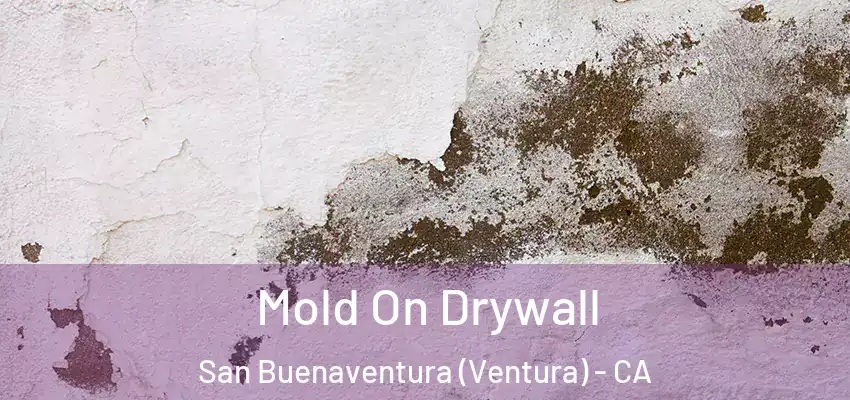 Mold On Drywall San Buenaventura (Ventura) - CA
