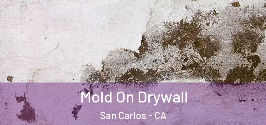  Mold On Drywall San Carlos - CA