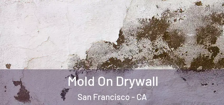  Mold On Drywall San Francisco - CA